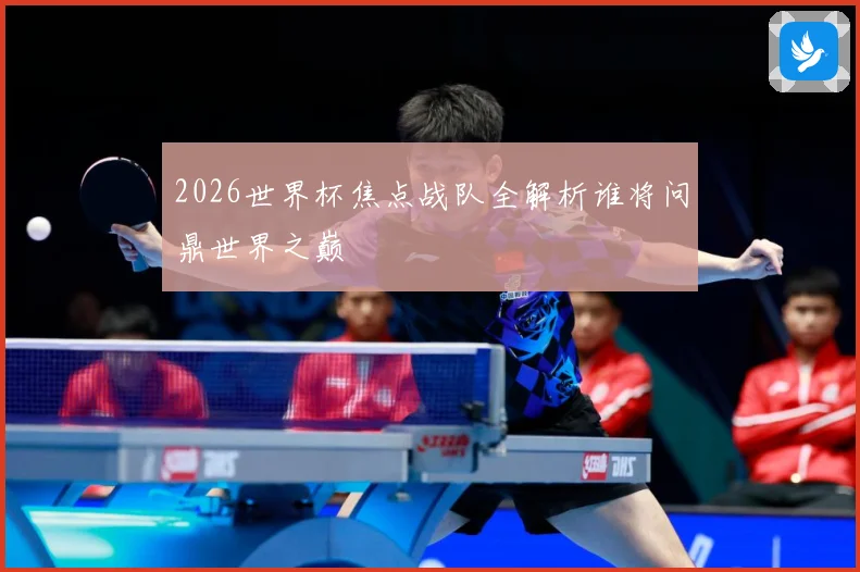 2026世界杯焦点战队全解析谁将问鼎世界之巅