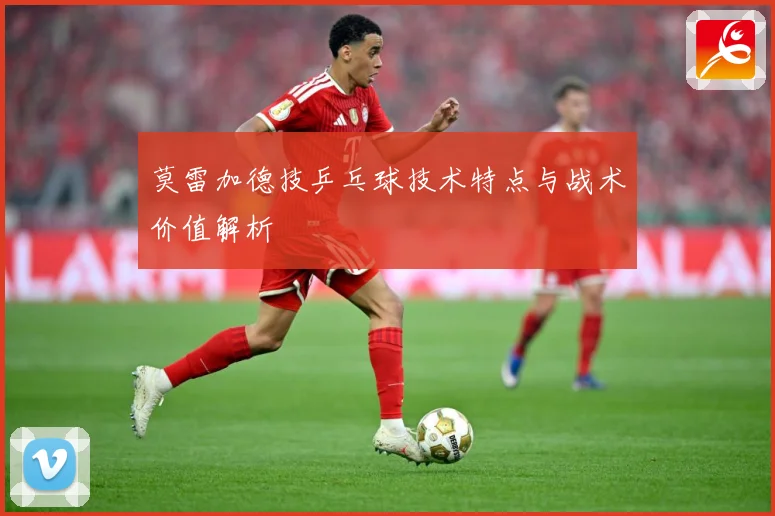 莫雷加德技乒乓球技术特点与战术价值解析