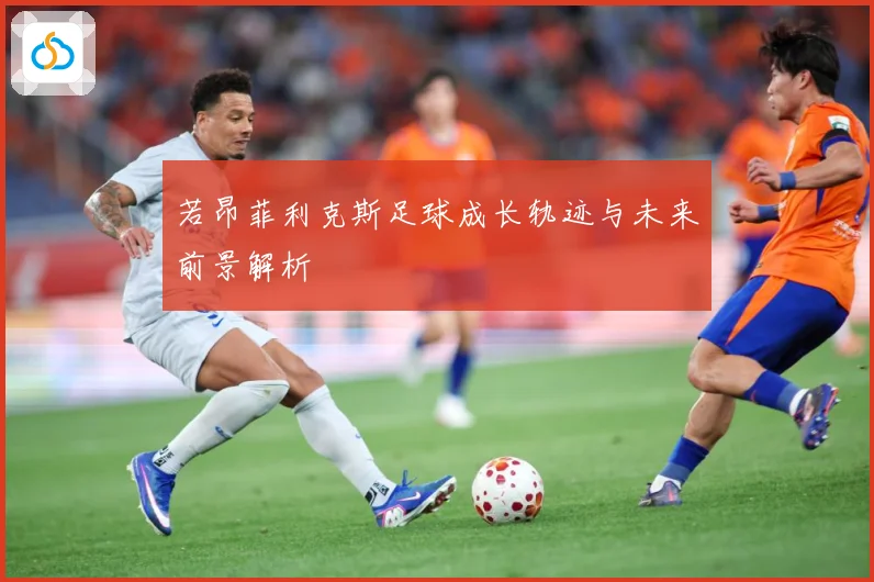 若昂菲利克斯足球成长轨迹与未来前景解析