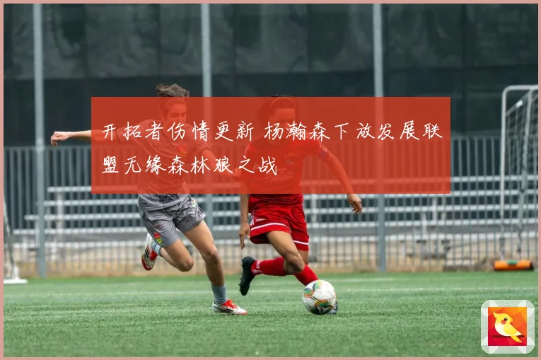 开拓者伤情更新 杨瀚森下放发展联盟无缘森林狼之战